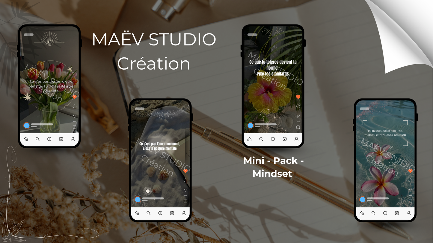 Mini - Pack - Story - Mindset